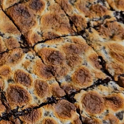 Brownie smores 1 dz squares
