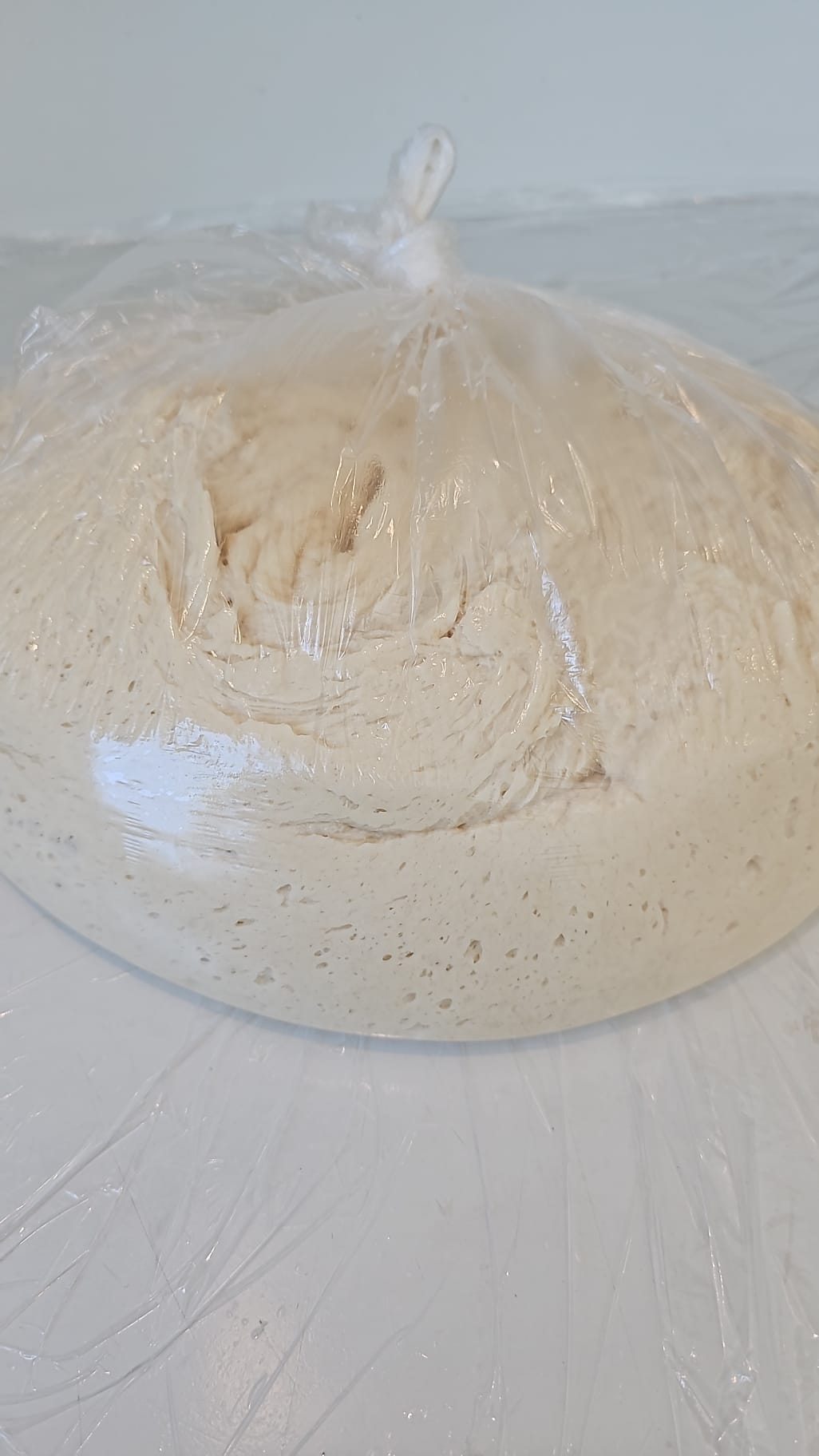 5lb batch of raw dough